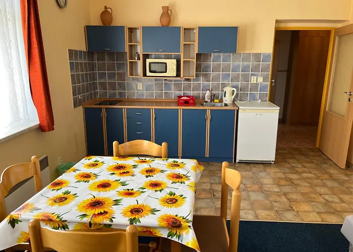 Apartmanovy Dum Obecna Skola アパート Světlík